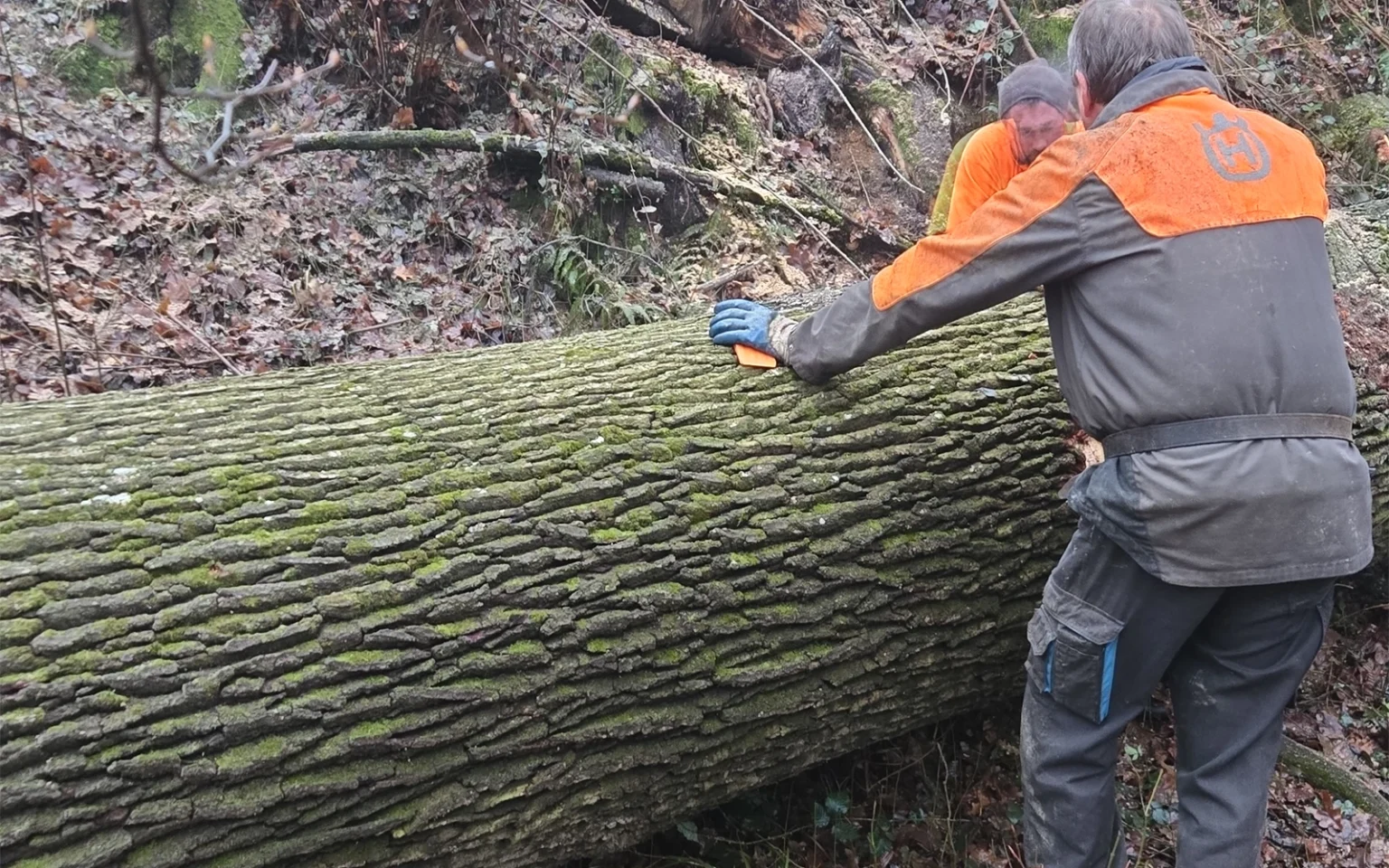 cistilni-servis-lipko-38